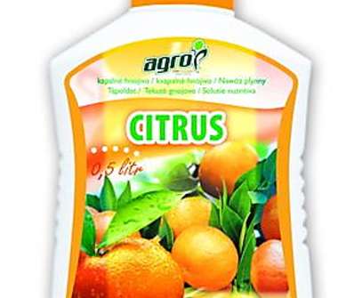 Agro cs - citrusy
