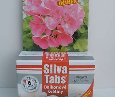 Sylva Tabs - balkonové květiny