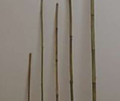 Bambus 120 cm