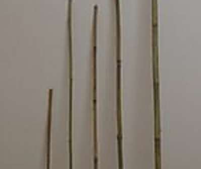 Bambus 270 cm / 20-22 mm