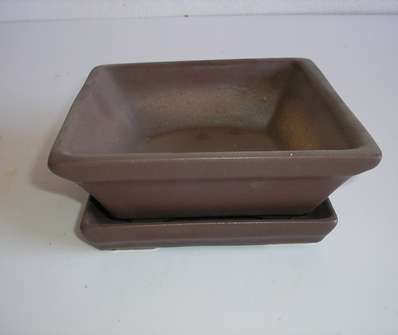 Miska Bonsai 16x16x7
