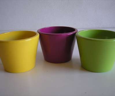 Obal Primule 11 cm