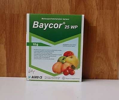 Baycor 25 WP 2 x 5g
