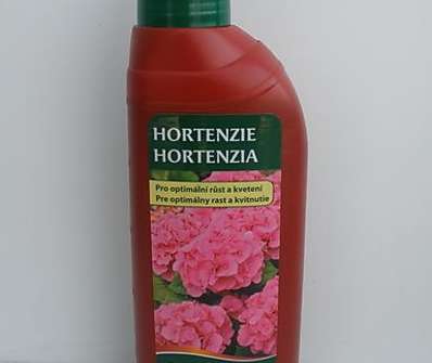 Hortenzie Pokon