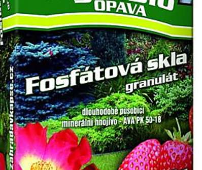 Fosfátová skla