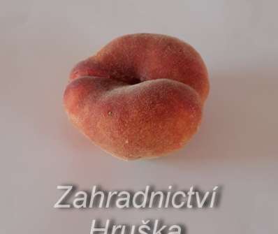 Broskvoň Sandwich Gelb