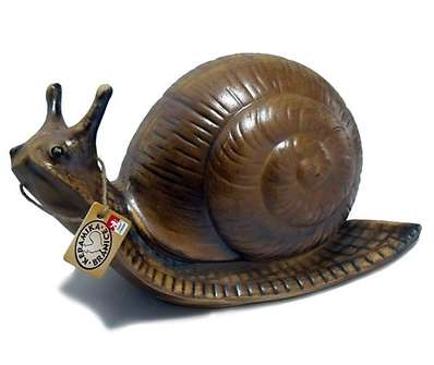 Šnek střední