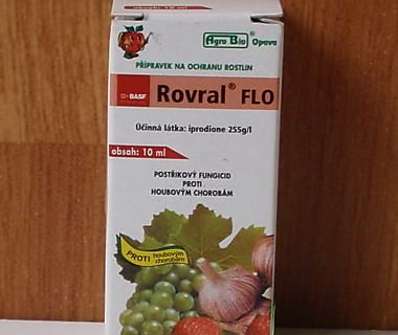 Rovral Flo - 10 ml