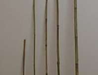 Bambus 150 cm / 10-12 mm