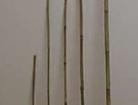 Bambus 210 cm / 20-22 mm