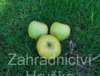 jablo domc Heliodor - Malus domestica Heliodor