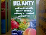 Belanty